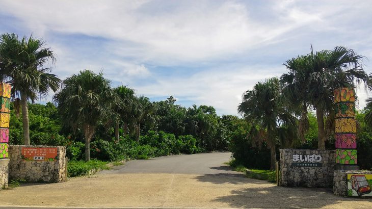 おすすめの観光スポット：宮古島熱帯果樹園「まいぱり」